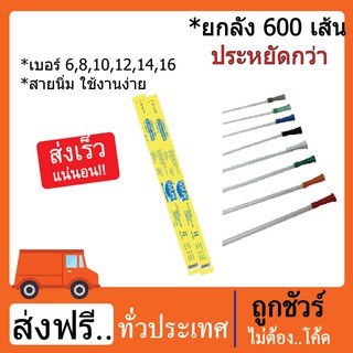 💥ส่งฟรี💥สายดูดเสมหะ ยี่ห้อ ซีเคียว แบบยกลัง 600 เส้น ไม่มีคอนโทรล