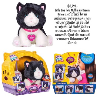 Little Live Pets Muffin 2024 pbmlabs
