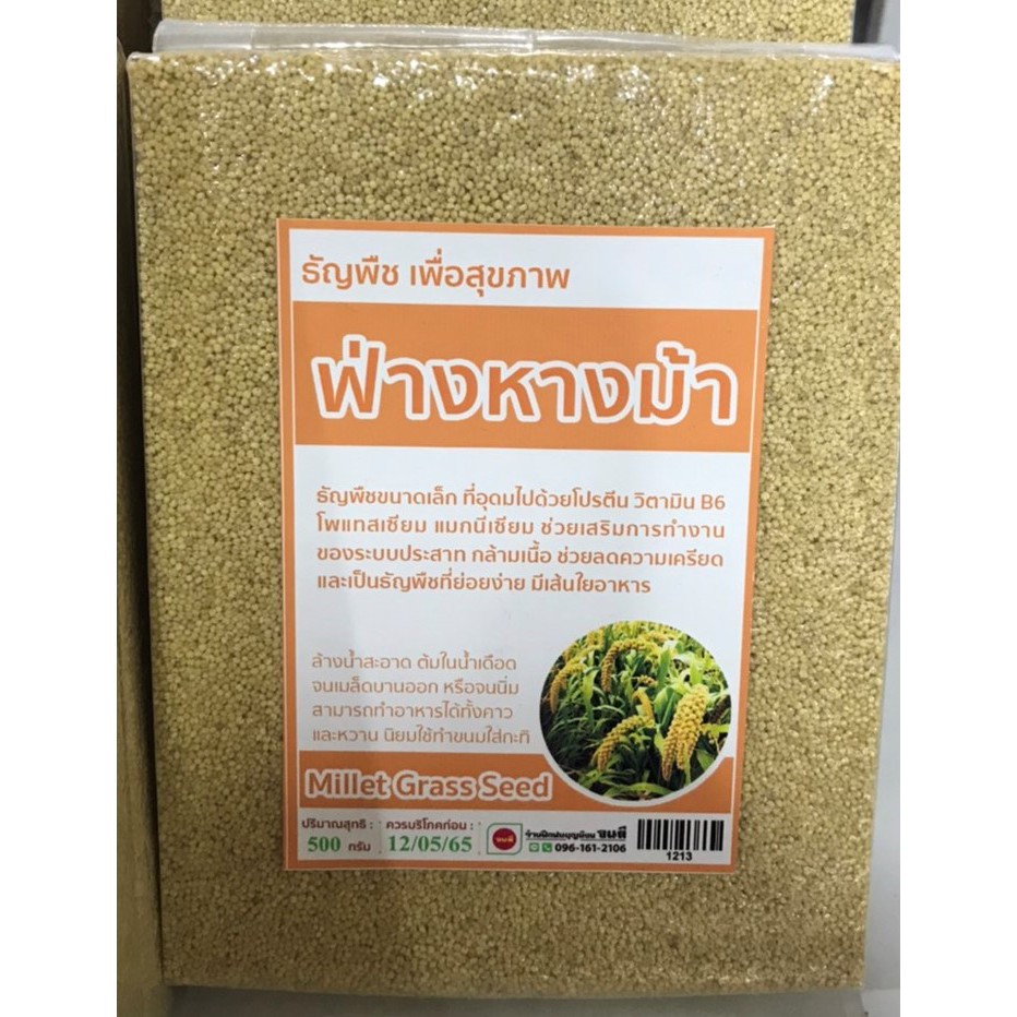 ข้าวฟ่างหางม้าธัญพืชเพื่อสุขภาพ