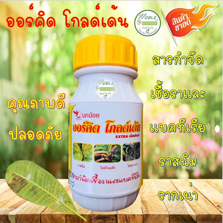 My Image 7