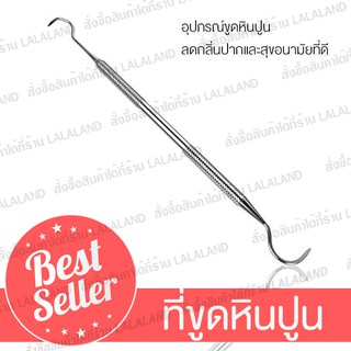 ขูดหินปูน 1ชิ้น เหล็กขูดหินปูน ที่ขูดหินปูน แปรงขูดหินปูน Stainless Steel Dentist Tool Teeth Clean Device  ดูแลช่องปาก