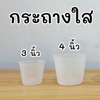 กระถางใส 3 นิ้ว 4 นิ้ว กระถางต้นไม้ แคคตัส กระถางพลาสติก