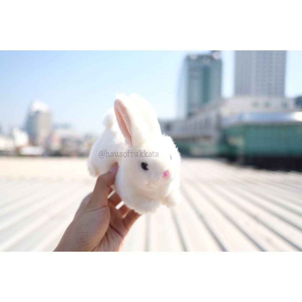 ﺴ№♣ตุ๊กตา กระต่าย ท่าหมอบ 6.5/8นิ้ว ตุ๊กตากระต่าย Anee Park อานี ปาร์ค