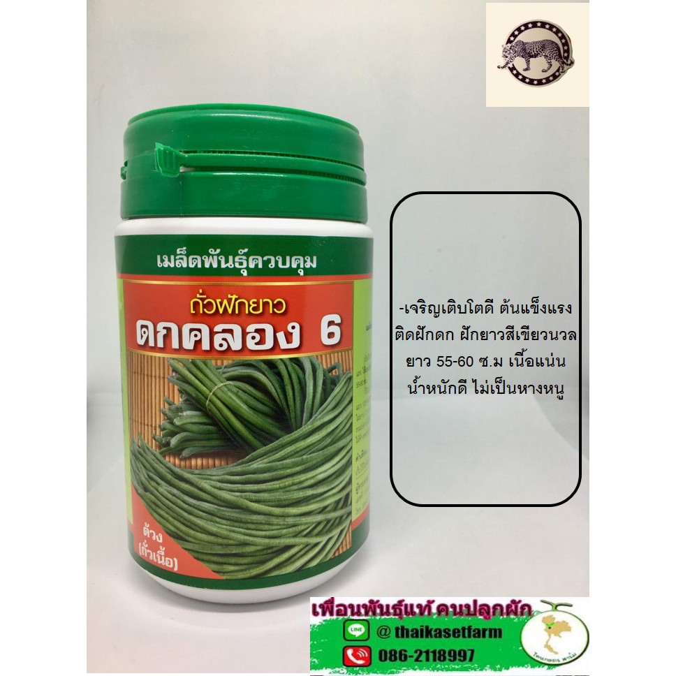 ถั่วฝักยาว ดกคลอง 6ดกมากตลาดต้องการ