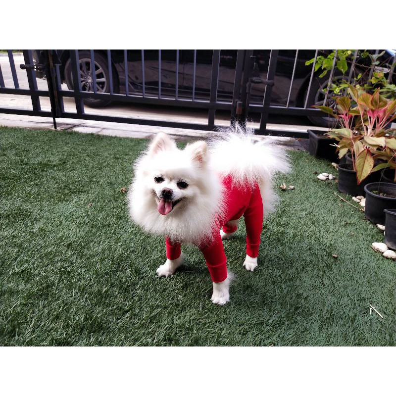 ชุดเก็บขน ชุดกันขนร่วง น้องหมา น้องแมว สีแดงสด