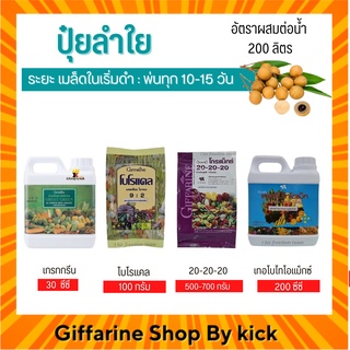 [ส่งฟรี] ปุ๋ยลำใย ปุ๋ย กิฟฟารีน ปุ๋ยทางใบ ระยะแตกยอด และบำรุงใบ Giffarine