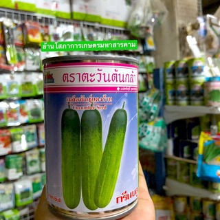 ขายส่ง 56฿ เมล็ดพันธุ์ผักตราตะวันต้นกล้า แตงร้าน กรีนบลู 20 กรัม ถูกที่สุด แตงร้านพันธุ์กรีนบลู เมล็กผักกระป๋อง