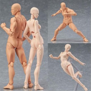 ฟิกเกอร์โมเดลฟิกเกอร์ Archetype Figma Body Kun Male / Female Pvc