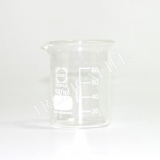 บิกเกอร์แก้ว (Beaker) 100ml