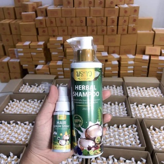 แชมพูพราว แชมพูสระผม น้ำมะพร้าว Coconut Oil ขนาด 250 ML. ของแท้ 100% ส่งฟรี( แถมเซรั่มบำรุงผม )