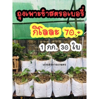 #ถุงเพาะชำสีขาว 8*13  70บ /กก.  1 กก. ประมาณ 30ใบคะ🌱🌱🍃