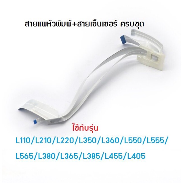 สายแพหัวพิมพ์และสายเซ็นเซอร์ EPSON L110/L210/L220/L350/L355/L360/L380/L550/L565