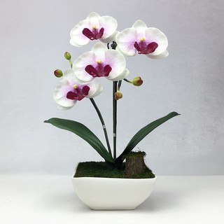 OrientalFineArt  ดอกกล้วยไม้ปลอม phalaenopsis จัดในกระถางเซรามิค สำหรับประดับตกแต่งบ้าน(CR-360-W F36)