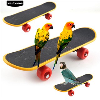 * Durable Mini Skateboard Bird นกกรงนกของเล่นเคี้ยวเครื่องประดับการฝึกอบรม