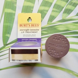 เบิร์ตส์บีส์ ลิป ทรีทเม้นต์ สำหรับกลางคืน สูตรเข้มข้น Overnight Intensive Lip Treatment 7.08 g (Burts Bees®) ทรีทเม้นต์บำรุงริมฝีปาก