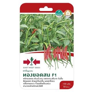 พริกขี้หนู F1 ทองยอดสน ศรแดง GUINEA-PEPPER SEED EAST-WEST SEED THONGYODSON F1