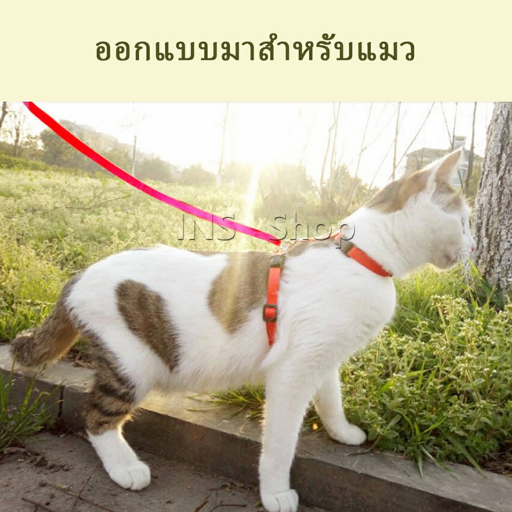 สายจูง แบบมี 2 ล๊อค ล๊อคลำตัว และ ล๊อคคอ พร้อมส่ง Cat leash Shopee