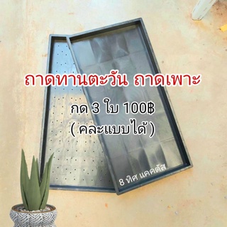 ถาดทานตะวัน // กด 3 ใบ 100 บาท -- ถาดทานตะวัน ถาดเพาะเมล็ด ถาดเพาะต้นอ่อน 12x24 นิ้ว