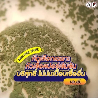 ชีวภัณฑ์ กำจัดโรคพืช ออร์แกนิค ลาร์มิน่า บาซิลลัส ซับทีลีส 50 กรัม