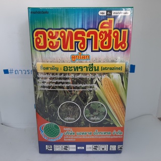 สารกำจัดวัชพืช,ยาคุมข้าวโพด,คุมหลังปลูกพืช,อะทราซีน,Atrazine80%WP,ยาคุมในแปลงใบแหลม1กก.