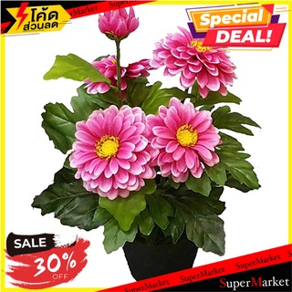 ต้นรักเร่ประดิษฐ์ LALA HOME 40 ซม. สีชมพูม่วง ต้นไม้ประดิษฐ์ ARTIFICIAL DAHLIA IN POT LALA HOME 40CM PINK/PURPULE อุปกรณ