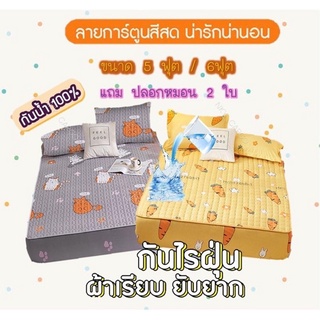 New‼️  ผ้าปูที่นอนกันน้ำ ขอบ 12 นิ้ว แถมปลอกหมอน 2 ใบ มีขนาด 5/6 ฟุต