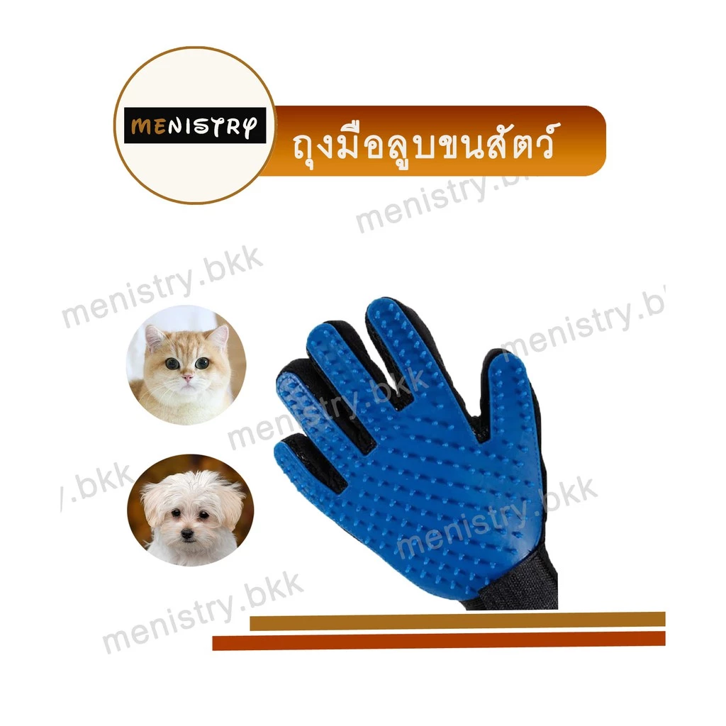 CB-007: ถุงมือลูบขนสัตว์ ถุงมือเก็บขนสัตว์เลี้ยง