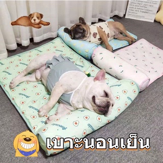 Pet Coolmat ที่นอนเจลเย็น ที่นอนสัตว์เลี้ยง แบบหนา เบาะนอนเย็น ที่นอนเย็น ที่นอนสุนัข แผ่นเจลเย็นสุนัข แผ่นเจลเย็นแมว