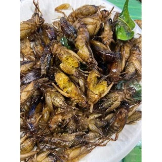 จิ้งโกร่งไข่ทอด (จิ้งหรีดขาว) แมลงทอดตามออเดอร์ สดใหม่ทุกวัน