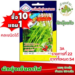 (ซื้อ10แถม1) เมล็ดพันธุ์ ผักบุ้งเย็นตาโฟ kang kong ประมาณ 150เมล็ด 3A สามเอ ผักบุ้งแก้ว ผักสวนครัว เมล็ดพันธุ์พืช