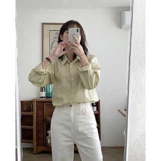 〰️ Basic Shirt from korea 〰️