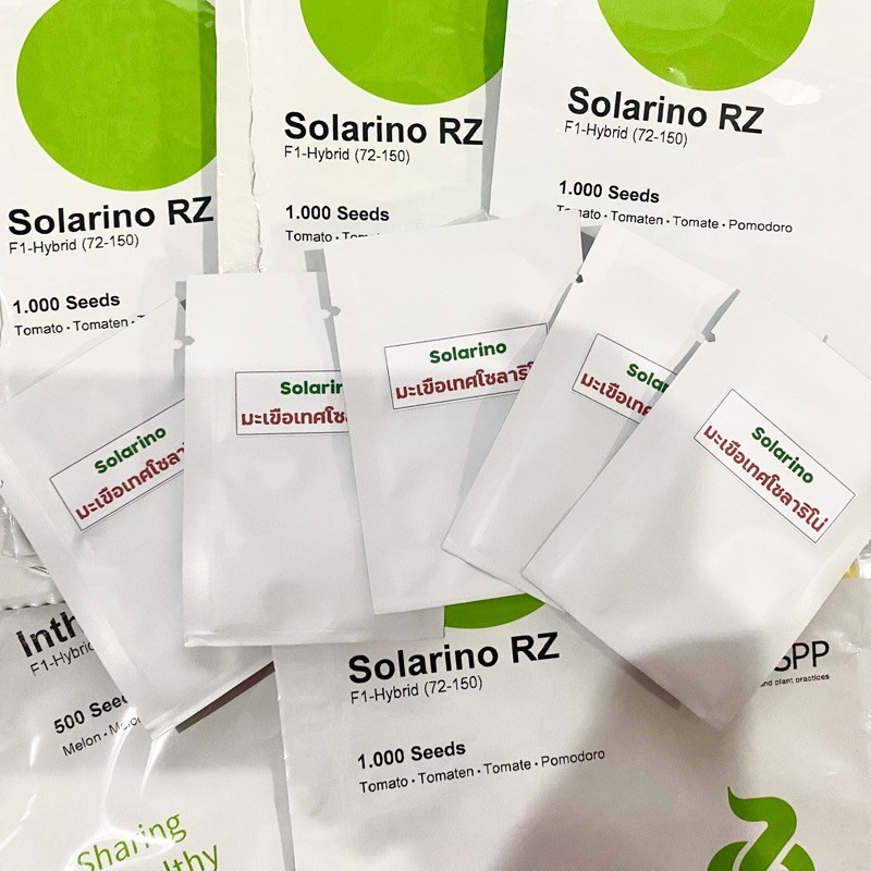 เมล็ดพันธุ์มะเขือเทศ โซลาริโน่ Solarino จำนวน 10 เมล็ด ทานสด เมล็ดของแท้ - รูปที่ 6