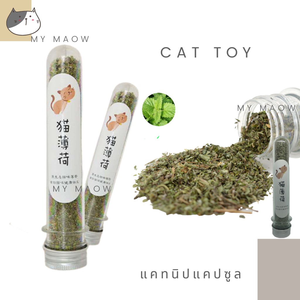 MM CAT // ของเล่นแมว แคทนิปแคปซูล ผงฟิน แคทนิปผง แคทนิปละเอียด ผงแคทนิป