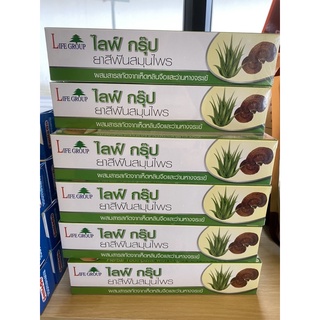 🔥SALE🔥 ยาสีฟันไลฟ์กรุ๊ป ยาสีฟันสมุนไพร ✅160กรัม✅ของแท้ของใหม…