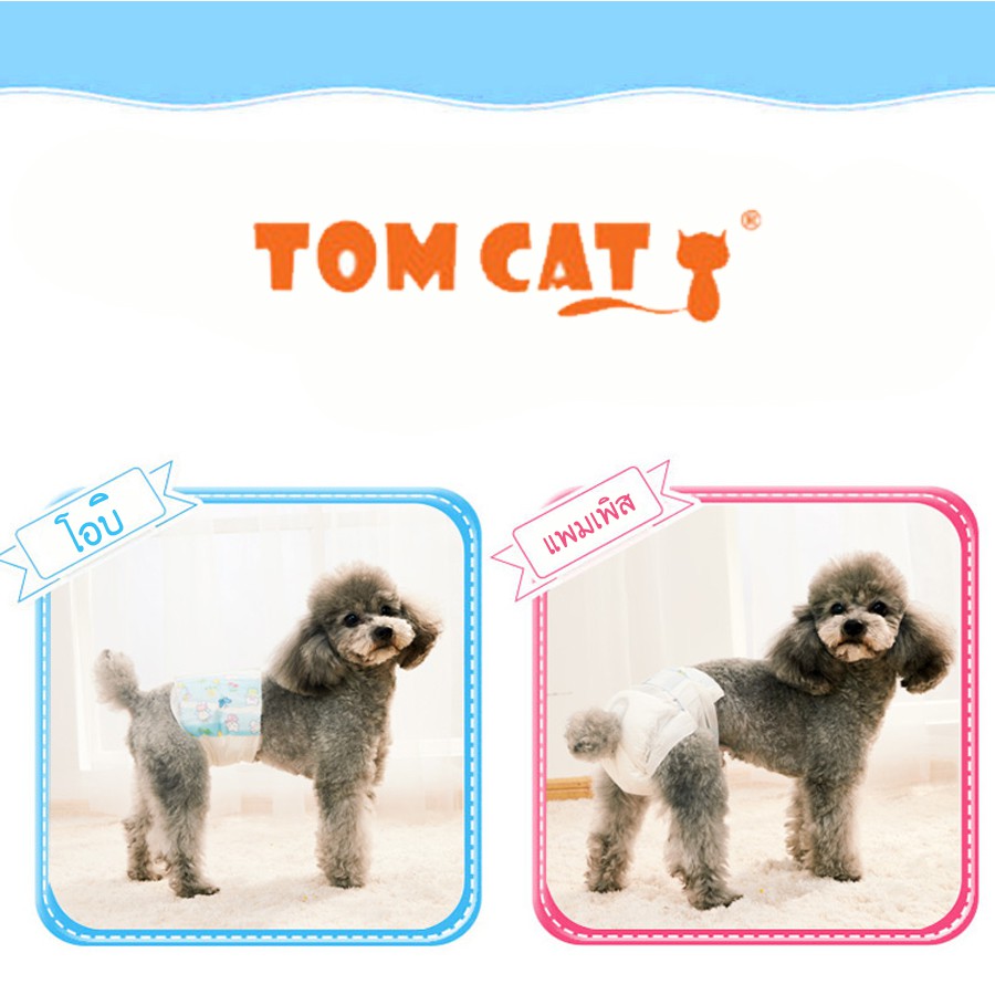 TOMCAT PAKEWAY BY PET8 (DP25) กางเกงอนามัย ไซส์ XL จำนวน 10 ชิ้น ราคา ถูกที่สุด ดีลบีเคเค แกลเลอรีภาพที่ 2