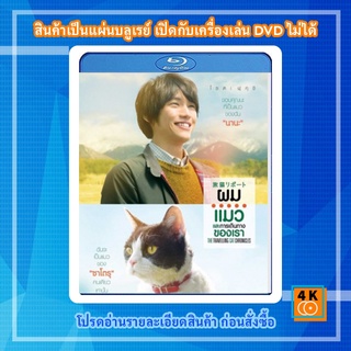 หนัง Bluray The Travelling Cat Chronicles (2018) ผม แมว และการเดินทางของเรา