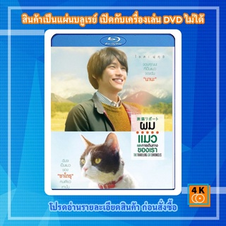 หนัง Bluray The Travelling Cat Chronicles (2018) ผม แมว และการเดินทางของเรา