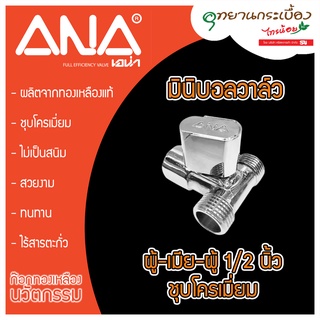 มินิบอลวาล์ว ANA ซีรีย์ II (ผมผ) 1/2" รุ่น ANA-1135-300 1/2"