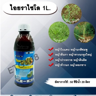 ไอยราซาโล 1L. 🌿กำจัดหญ้าใบแคบ วัชพืชใบแคบ ในพืชประธานใบกว้าง กำจัดหญ้าตีนติด ตีนกา