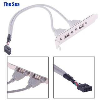 The Sea อะแดปเตอร์เมนบอร์ด 2 พอร์ต Usb 2 0 1