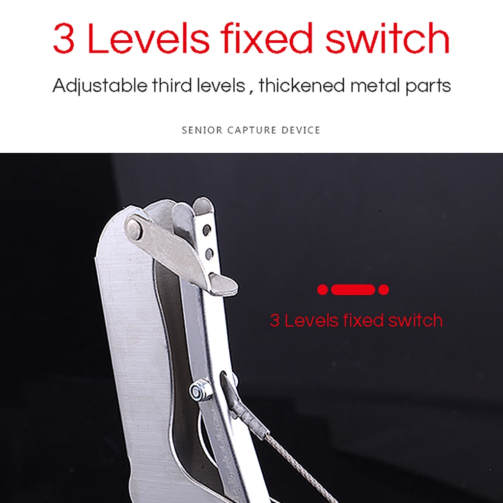 รูปภาพ 2