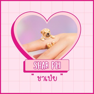 Ring / แหวน : Shar Pei / ชาเป่ย