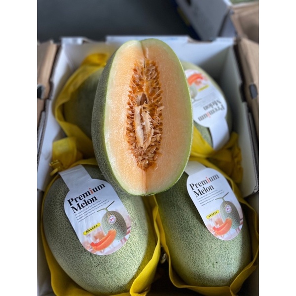 🍈พร้อมส่ง‼️( 1ลูก 1.2-1.5kg ) เมล่อนฮามิกัวสด แตงทิเบตสด