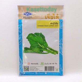 คะน้าใบ​ CHINESE KALE (LARGE LEAF)​ เมล็ดผักซองเจียไต๋​ ขนาด​ 10​ g.