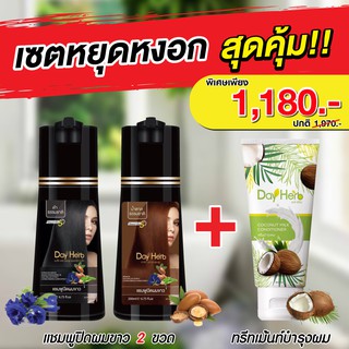 DayHerb แชมพูปิดผมขาว สมุนไพรแท้ ปิดหงอก ลดหงอก 2ขวด + DayHerb ทรีทเม้นท์สูตรเข้มข้น ลดผมขาดร่วง ล้างสารพิษจากเส้นผม