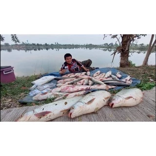 รำบ่มนิลจ๋านวลจ๋าขนาด 3 กก. หอมนุ่มเหยื่อฟุ้งแตกตัวดีปลาเข้าเหยื่อเร็ว