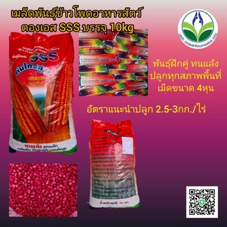 เมล็ดพันธุ์ข้าวโพดอาหารสัตว์SSS บรรจุ 10กิโลกรัม