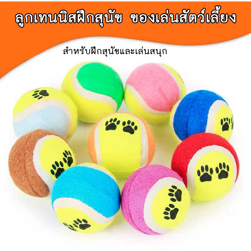AL-252 ของเล่นสุนัข หมา ลูกเทนนิส โยนได้ไกล สำหรับสุนัขทุกสายพันธุ์ กัดเคี้ยวเล่นได้ 🔥 พร้อมส่ง 🔥