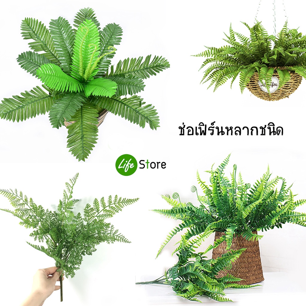 ช่อเฟิร์นหลากชนิด ต้นไม้ประดิษฐ์ สวยงามเสมือนจริง  (พร้อมส่งในไทย ถึงเร็วทันใจ)