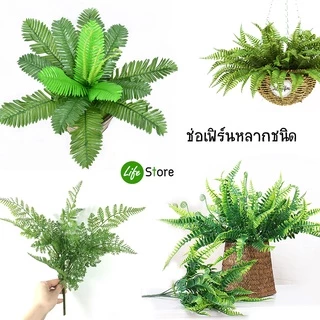 ช่อเฟิร์นหลากชนิด ต้นไม้ประดิษฐ์ สวยงามเสมือนจริง (พร้อมส่งในไทย ถึงเร็วทันใจ)